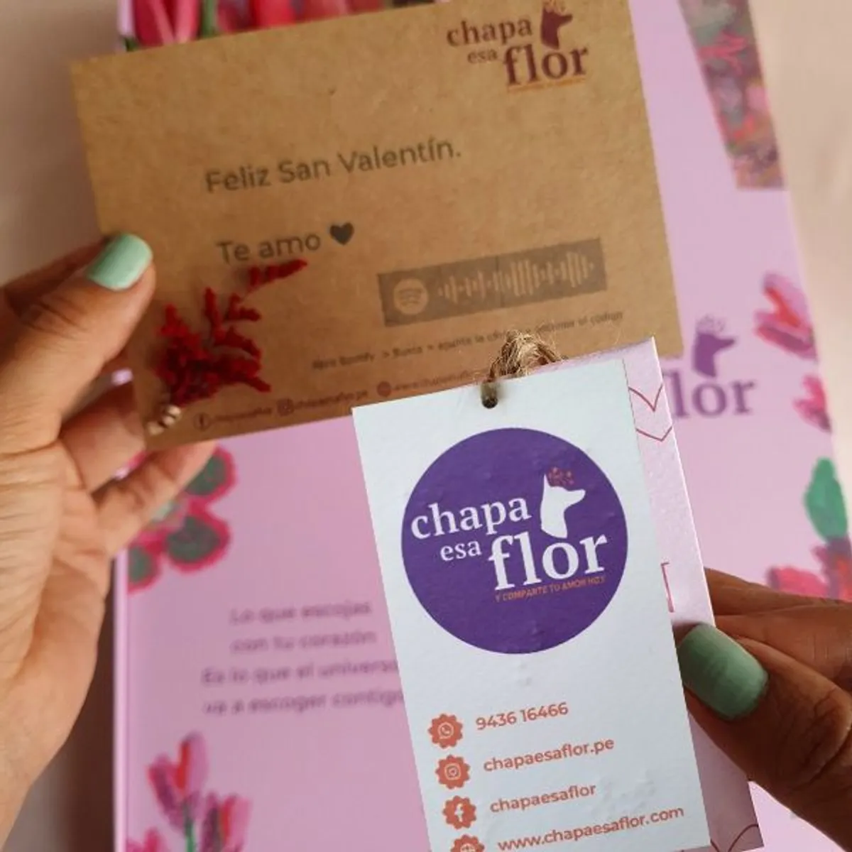 CHAPA ESA FLOR - Box Premium con 10 tulipanes multicolor