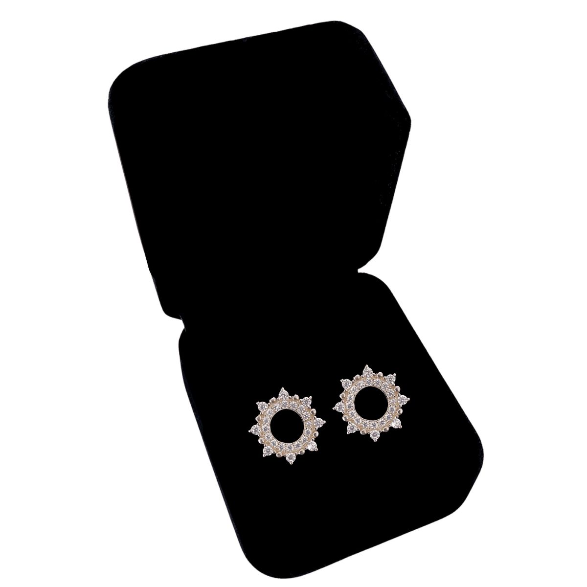 GENERICO - Aretes Mujer Circular Regalo Plata Enchapado Oro Rosa