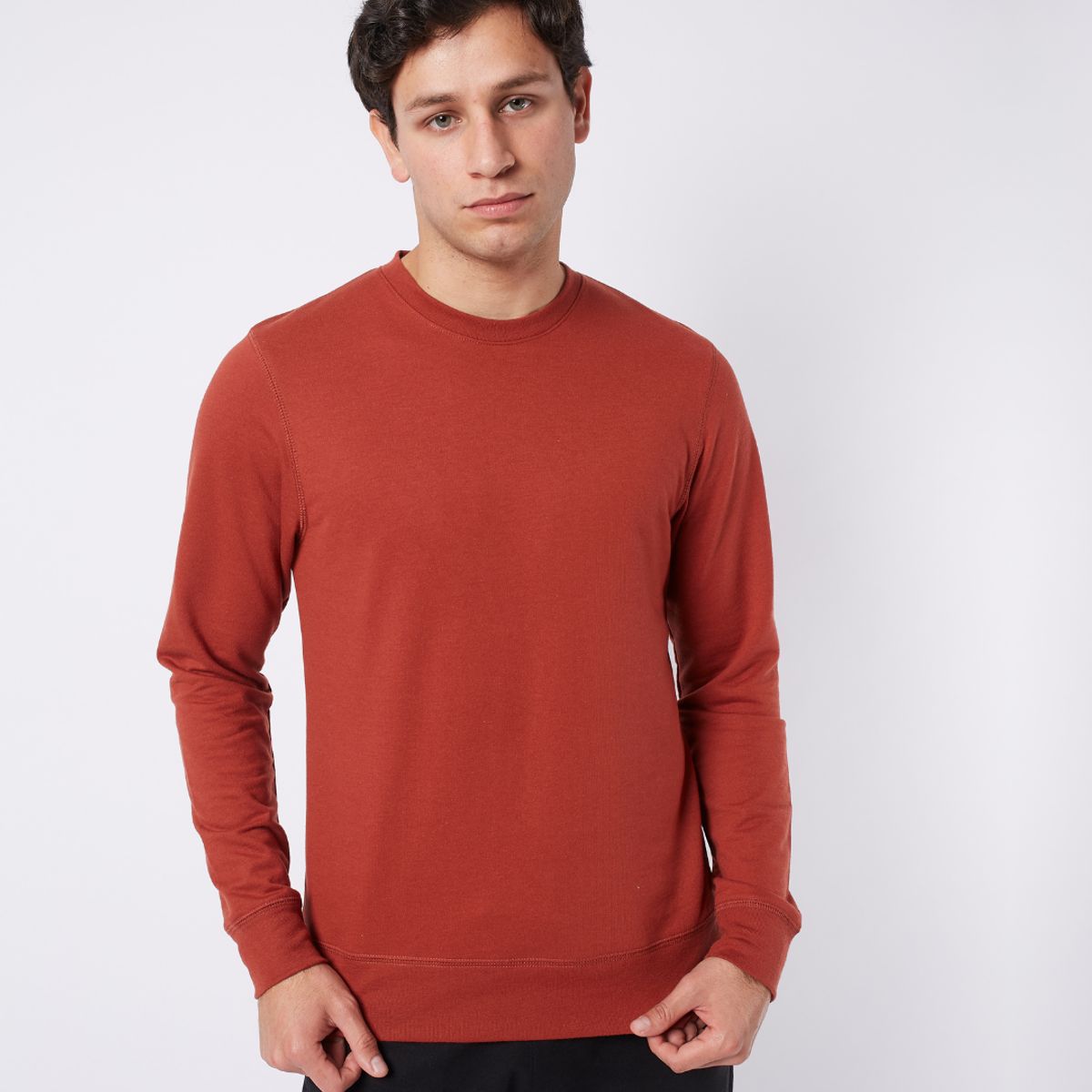 RISING DRAGON - Polo El Protector - Terracota