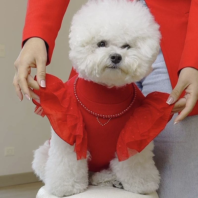 PERRITO PITUCO - ROPITA PERRRITO PITUCO SWEATER PERLITAS ROJO TALLA 2