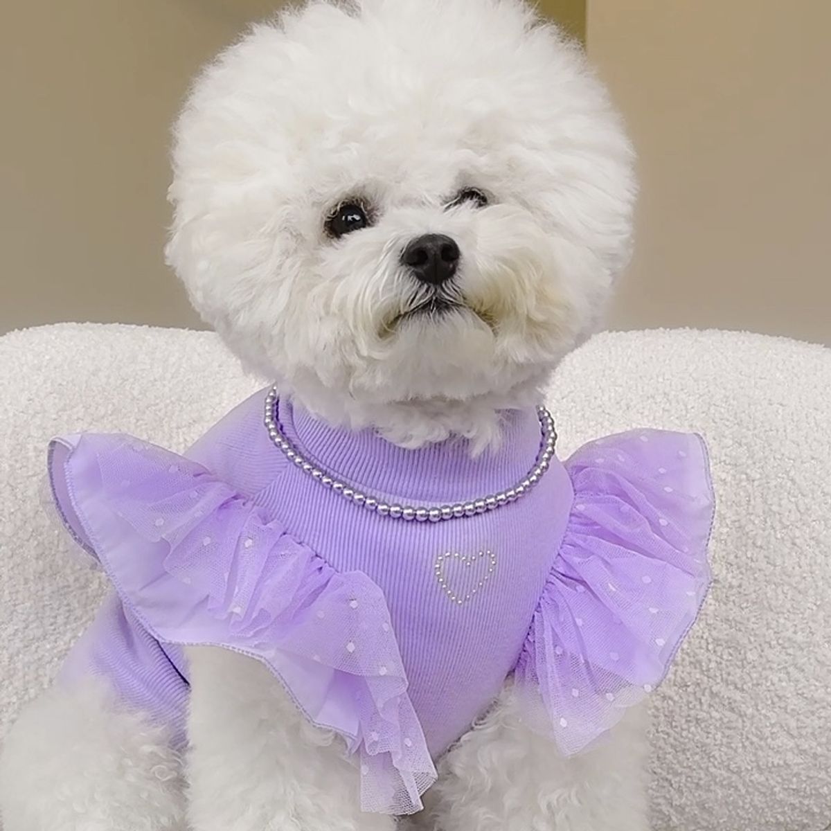 PERRITO PITUCO - ROPITA PERRRITO PITUCO SWEATER PERLITAS LILA TALLA 6