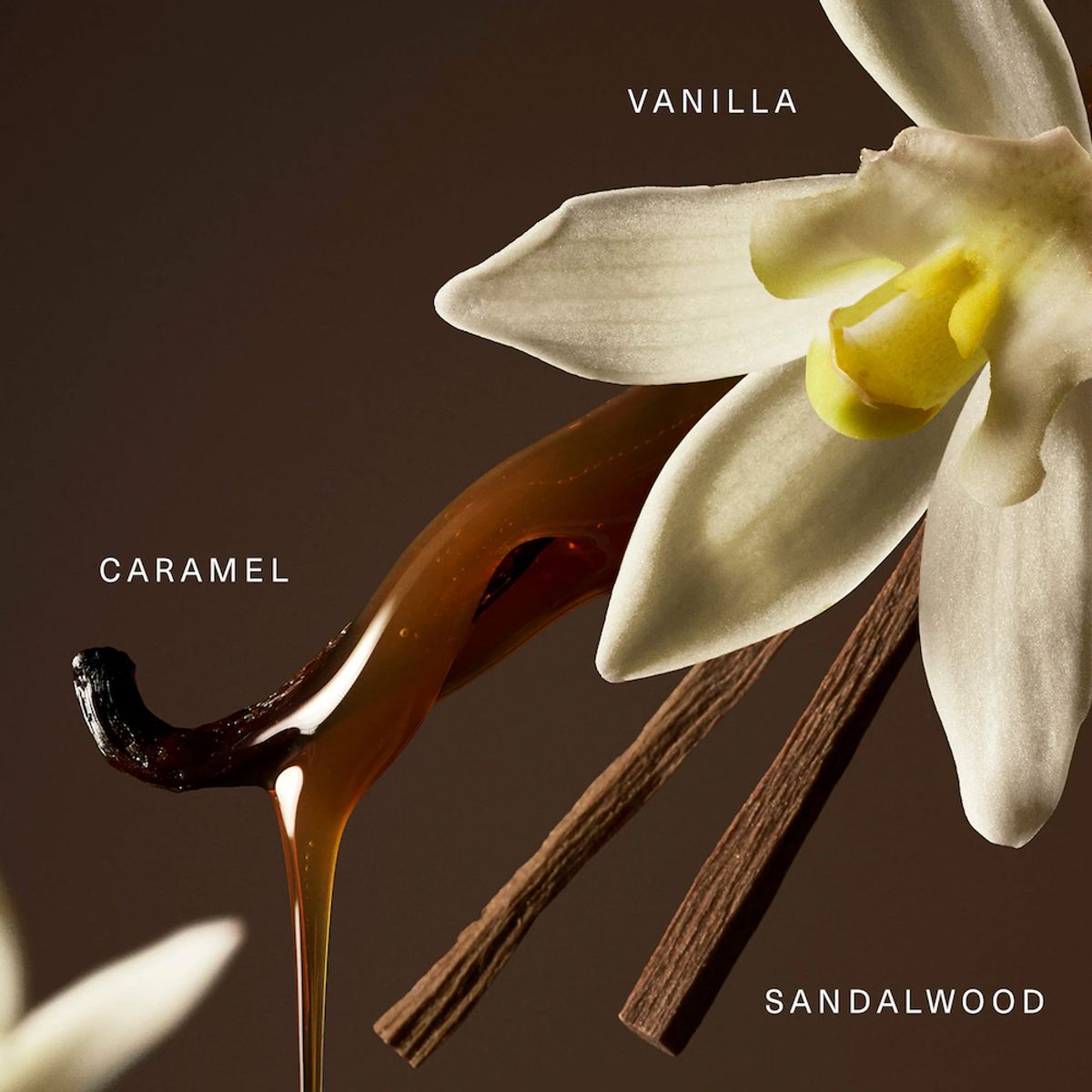 RARE BEAUTY - Perfume Eau de Parfum 50ml Vanilla and Caramel Rare Beauty