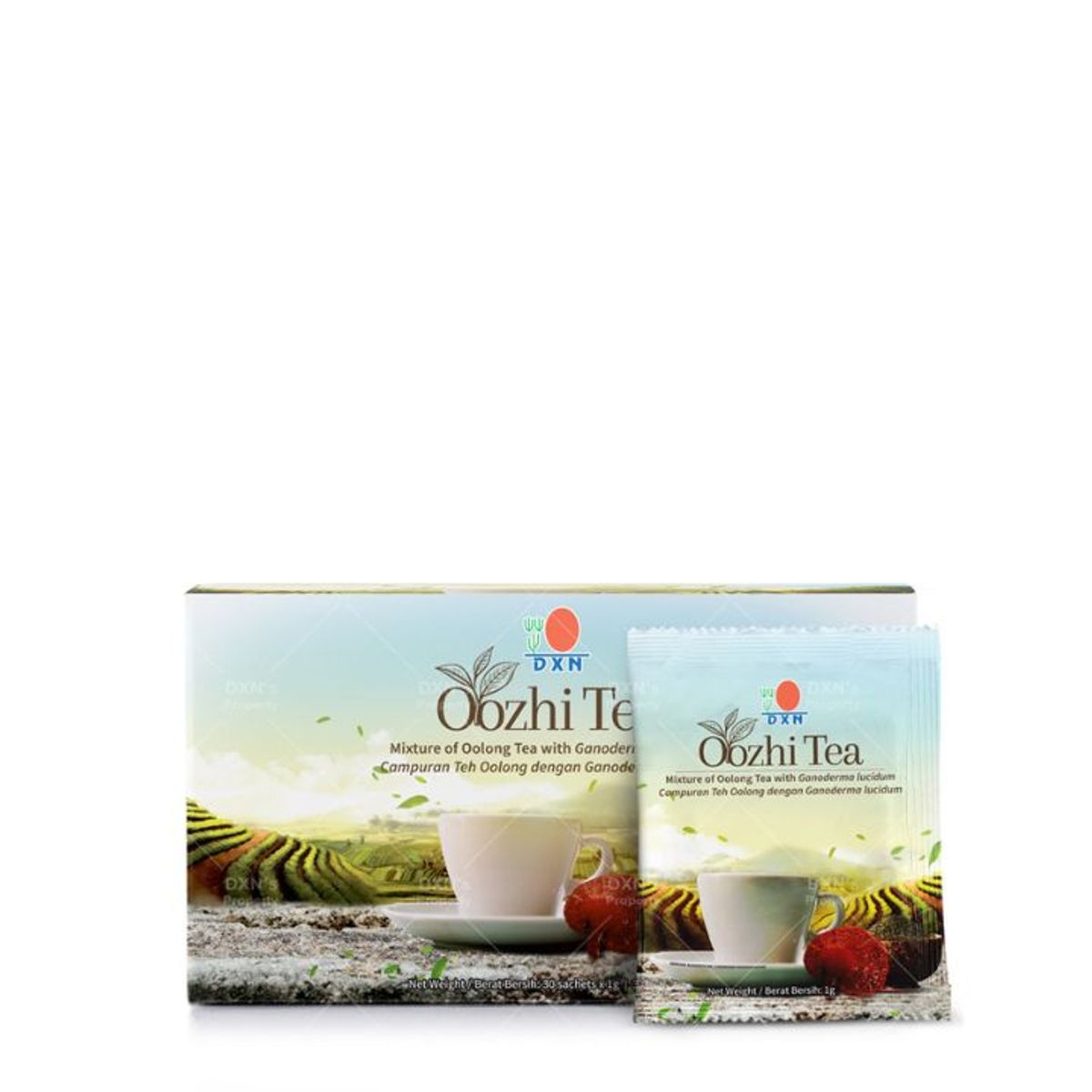 DXN - DXN Mezcla Te Oolong con Ganoderma - Oozhi Tea x 30 sobres