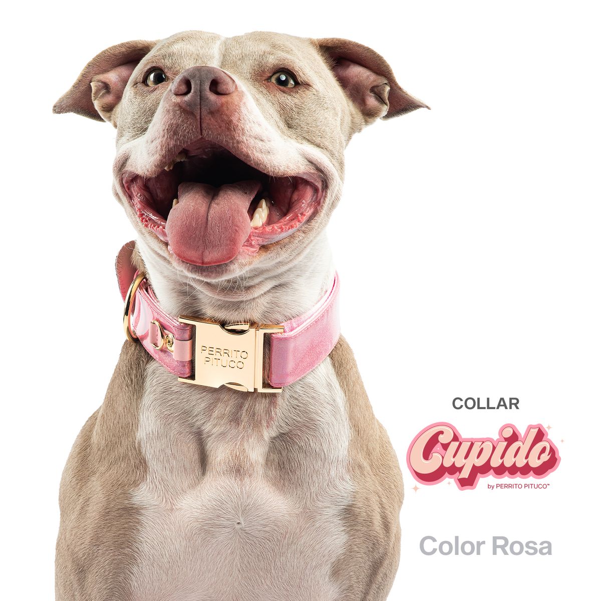 PERRITO PITUCO - COLLAR PERRITO PITUCO CUPIDO ROSA TALLA M