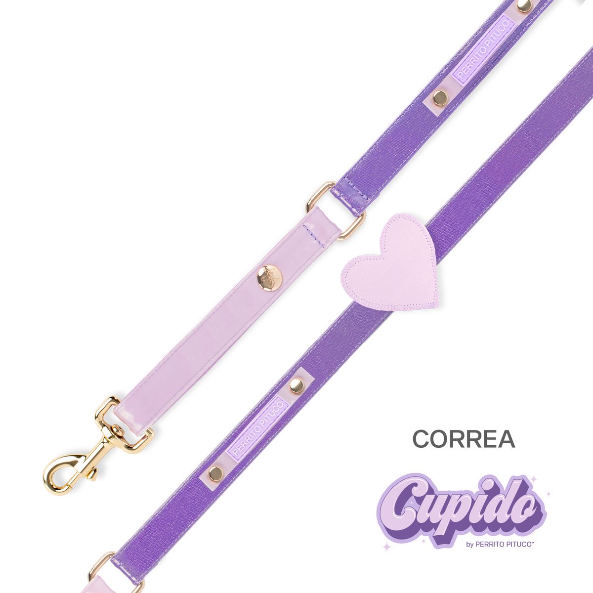 PERRITO PITUCO - CORREA PERRITO PITUCO CUPIDO LILA