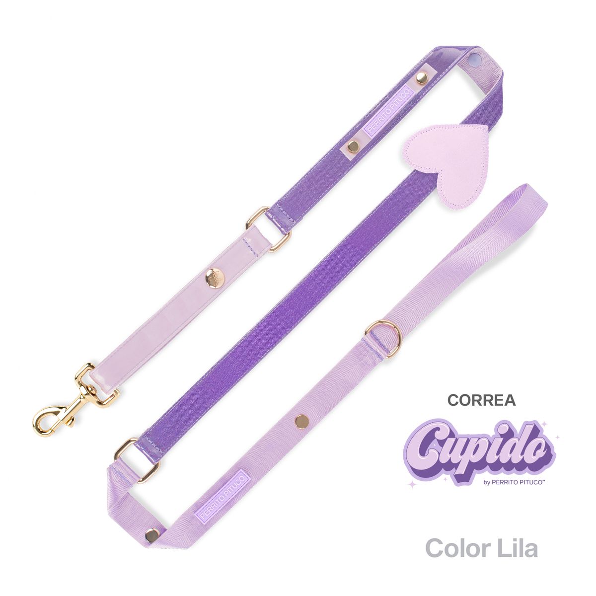 PERRITO PITUCO - CORREA PERRITO PITUCO CUPIDO LILA