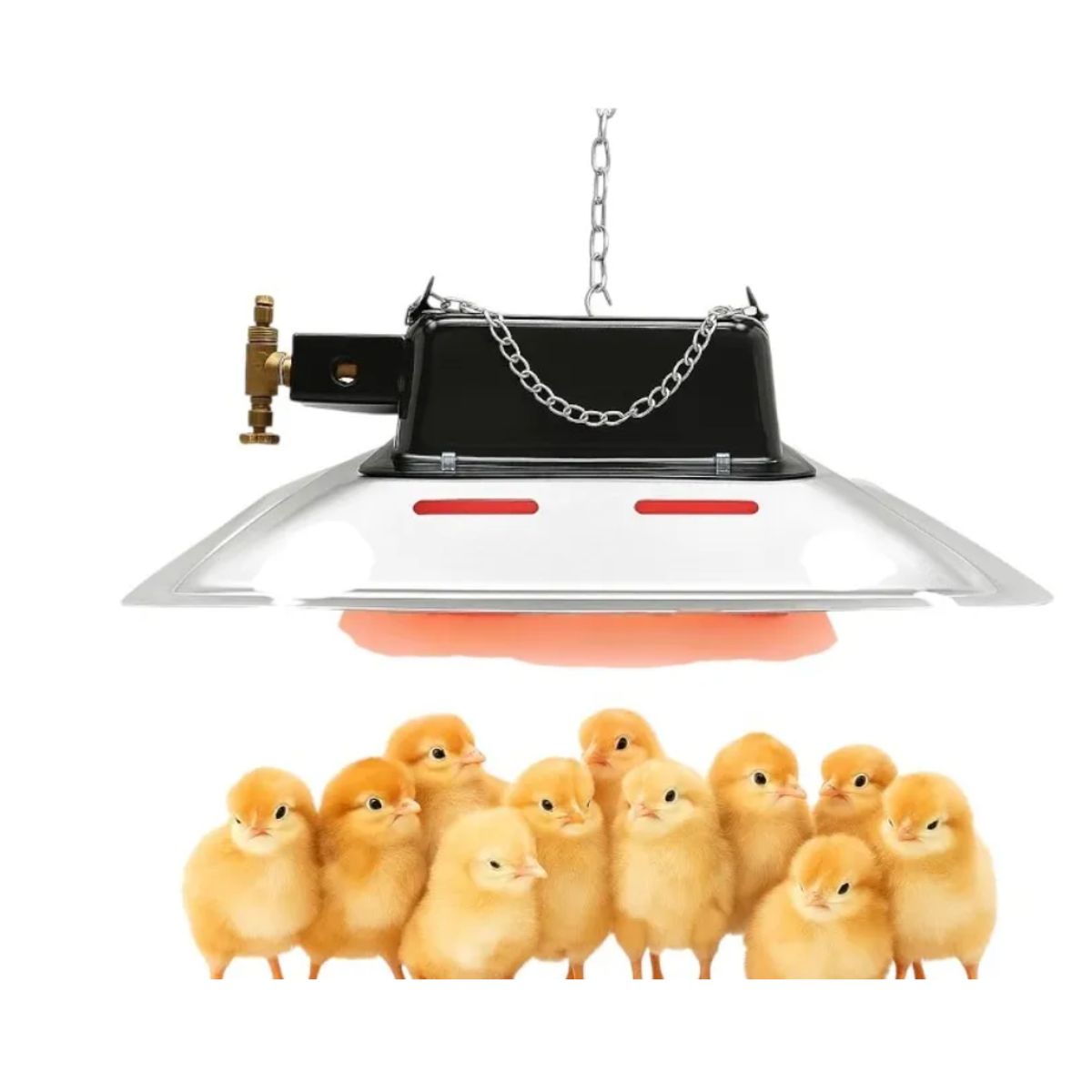 GENERICO - Lámpara Mediana a Gas para 500 Pollos.