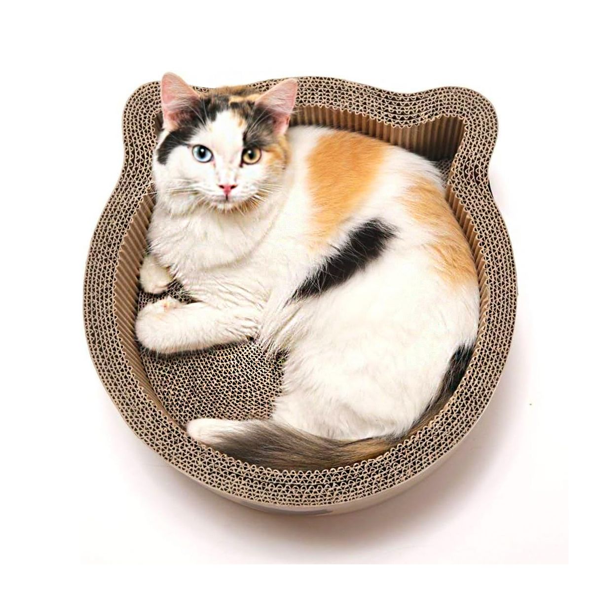 CATITO - CAMA RASCADOR PARA GATOS