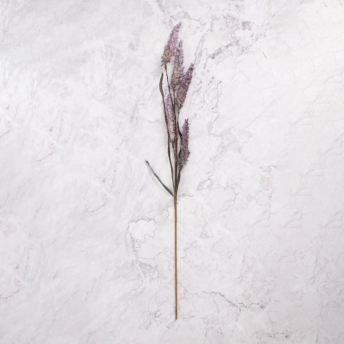 PANADECOR - Pack de 2 Follaje Morado Pack de 2 Panorama Hogar