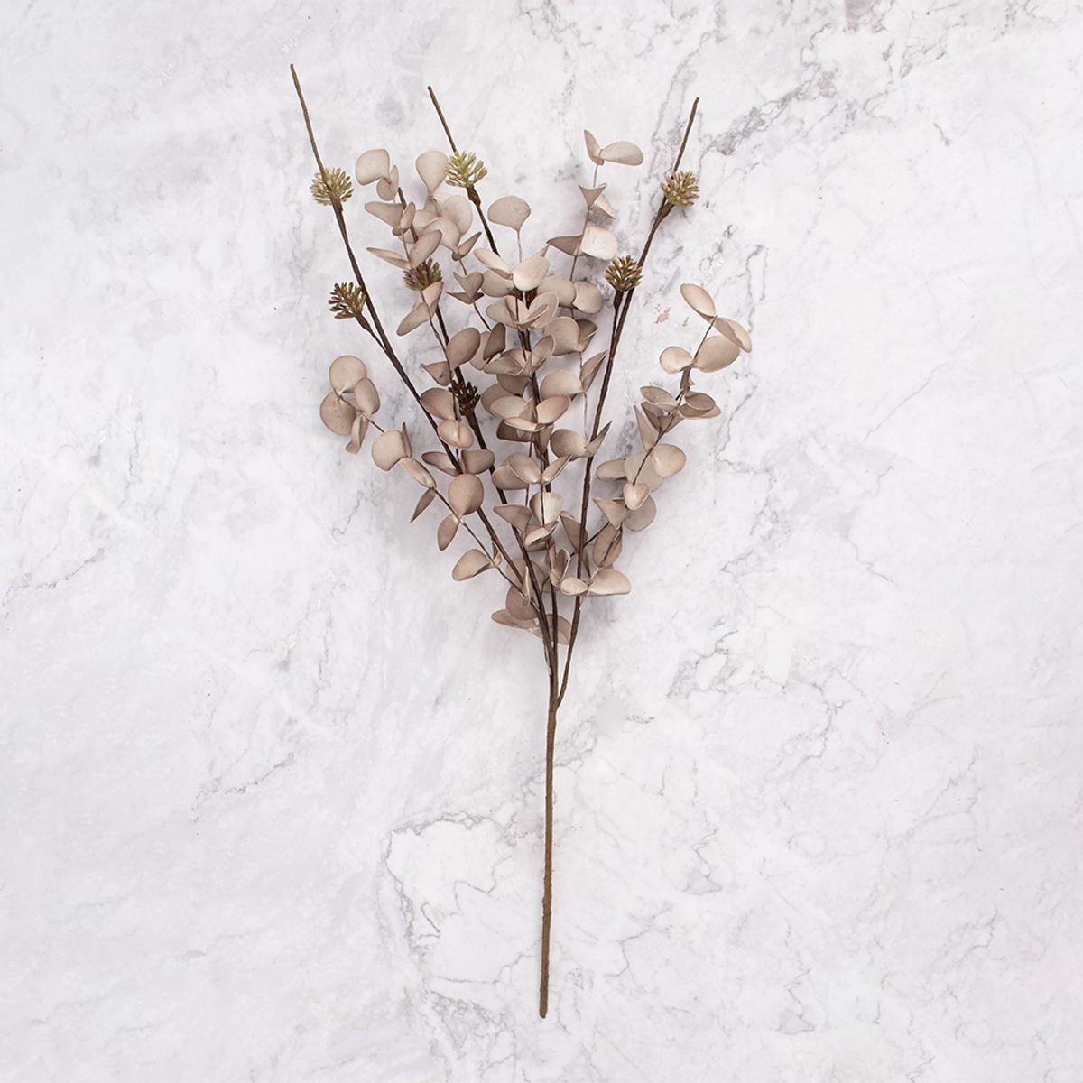 PANADECOR - Pack de 2 Ramos de Eucalipto Marrón Panorama Hogar