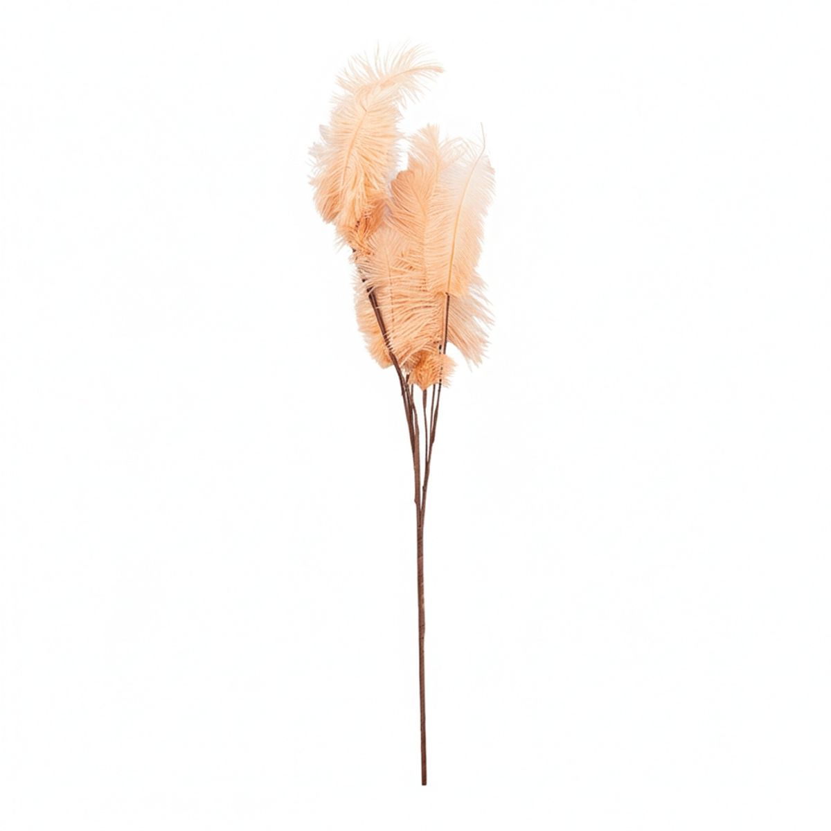 PANADECOR - SETX2 PLUMAS BEIGE EN VARA PVC 100CM
