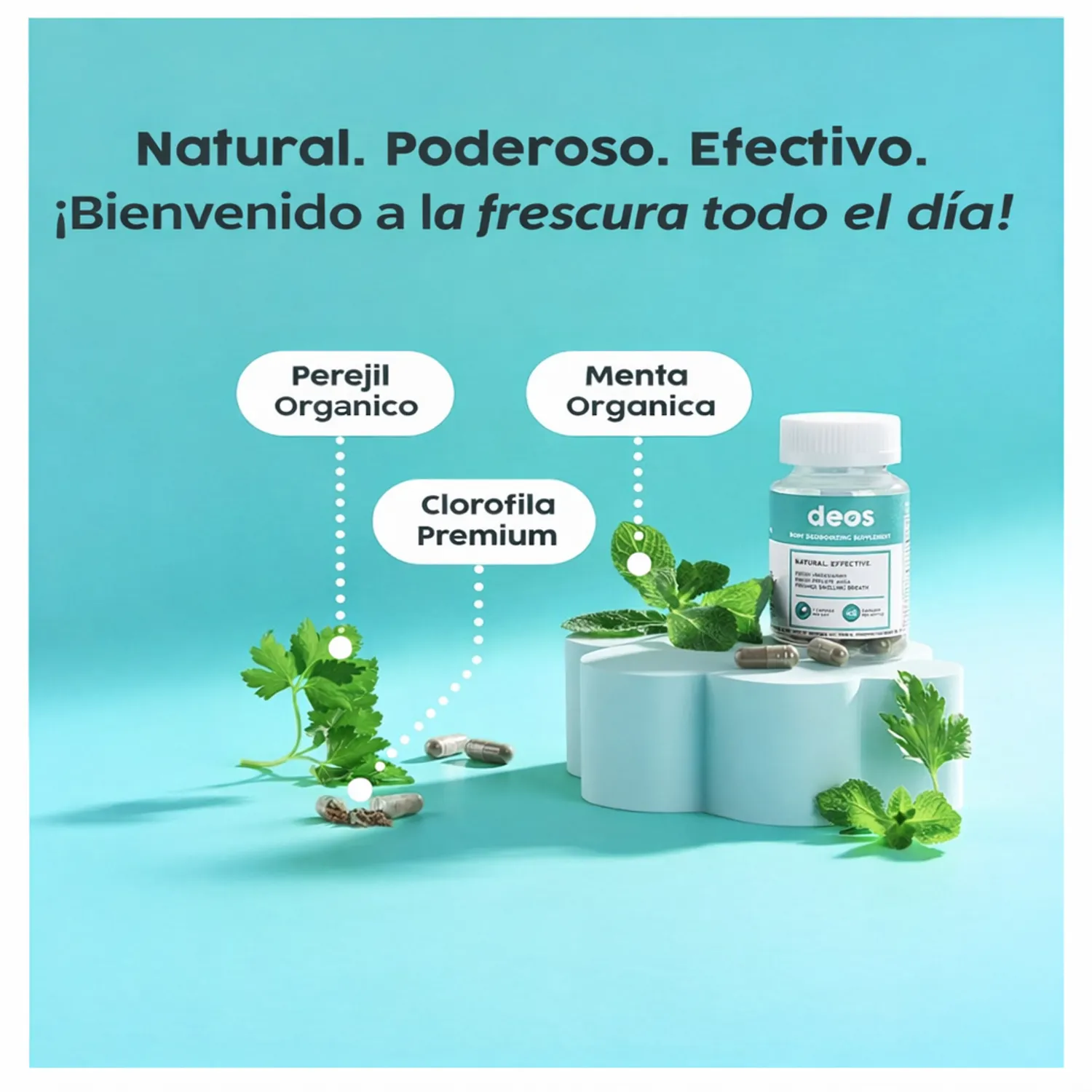 DEOS Digesana Desodorante Interno Menta Control Olores GENERICO | Falabella Perú