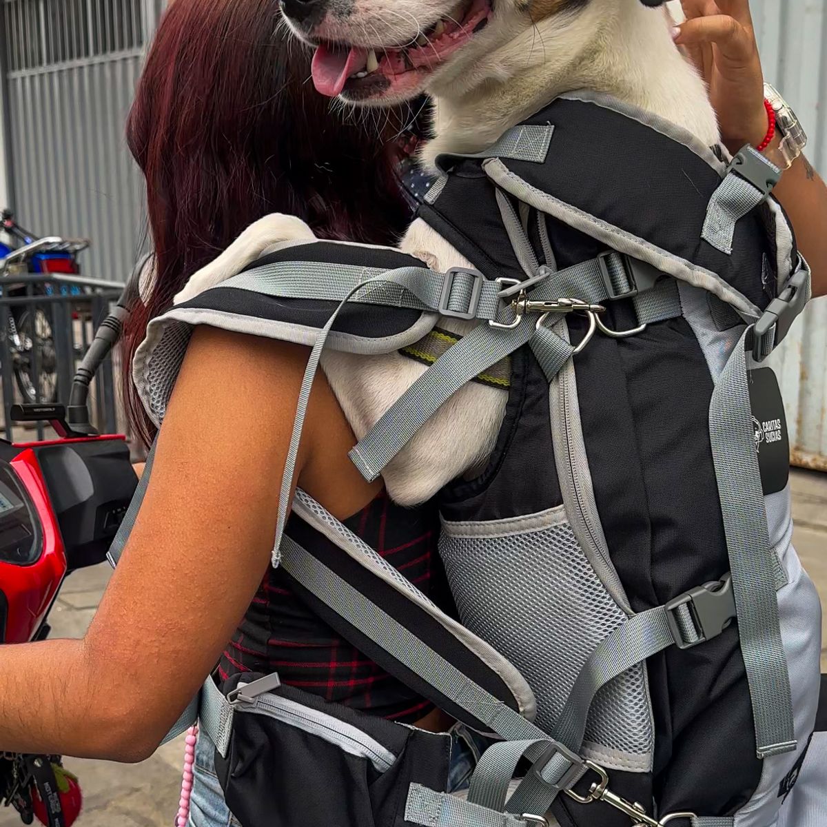 CARITAS SUCIAS - Mochila transportadora Perros Grandes 16 a 24 kg LEGION XL