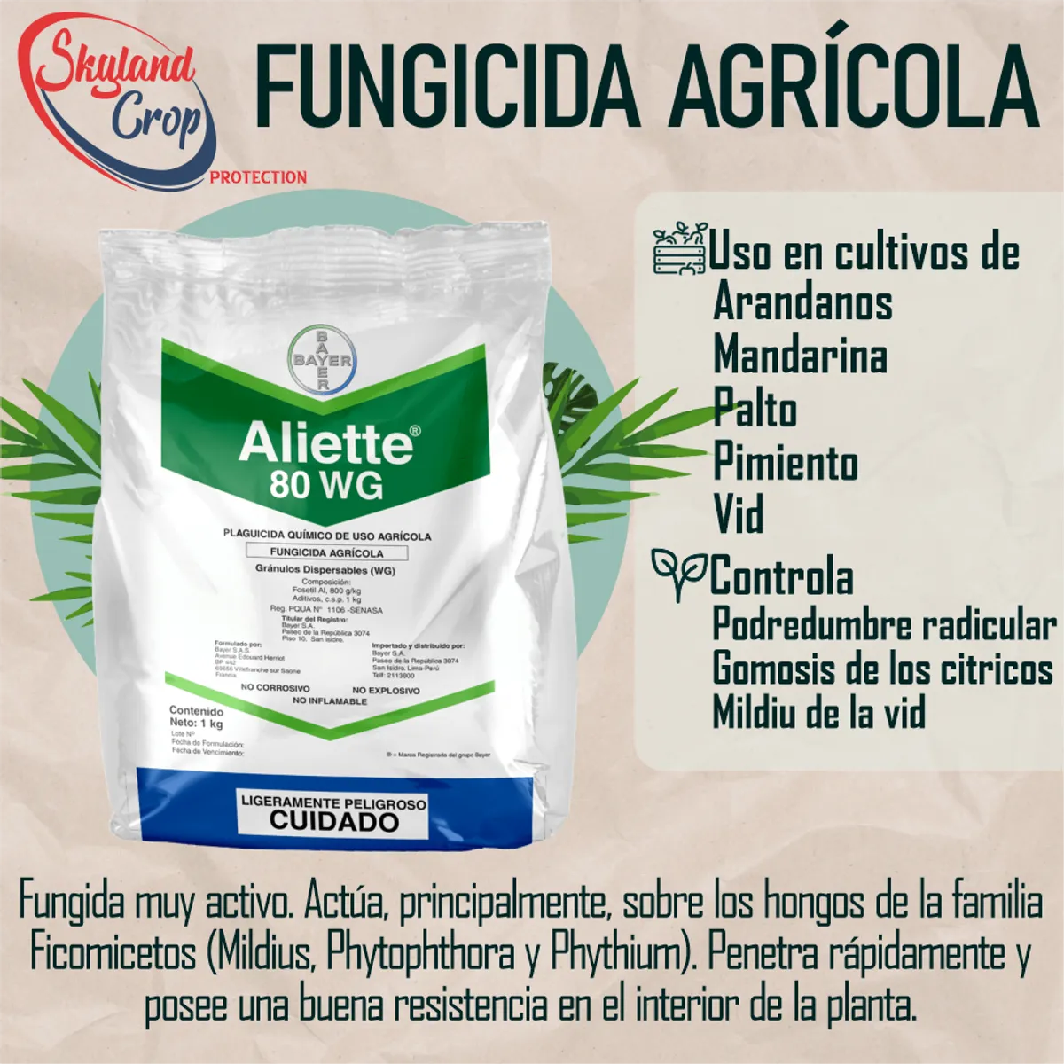 GENERICO - ALIETTE 1 Kg FUNGICIDA AGRÍCOLA
