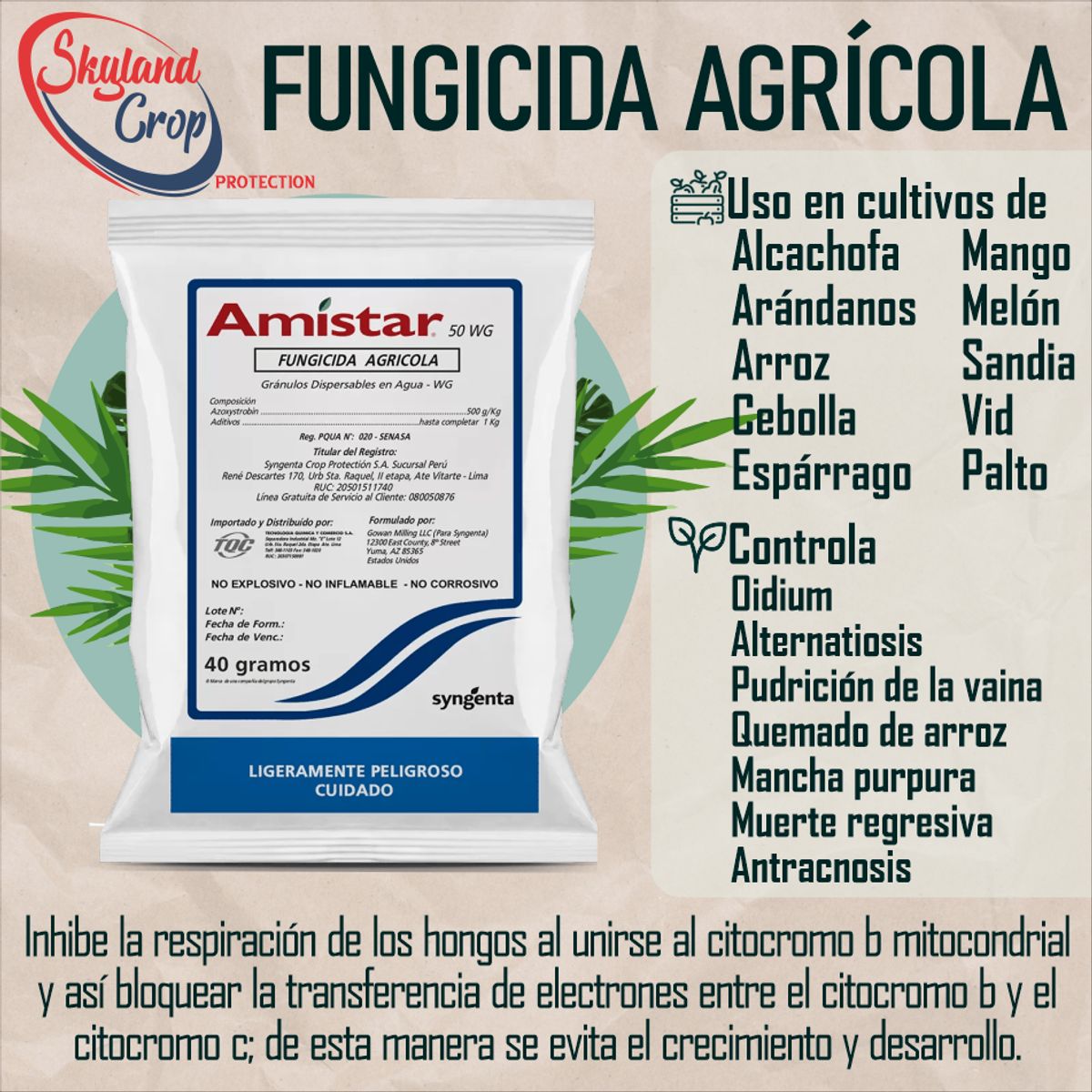 GENERICO - AMISTAR 50WG 40gr FUNGICIDA AGRÍCOLA
