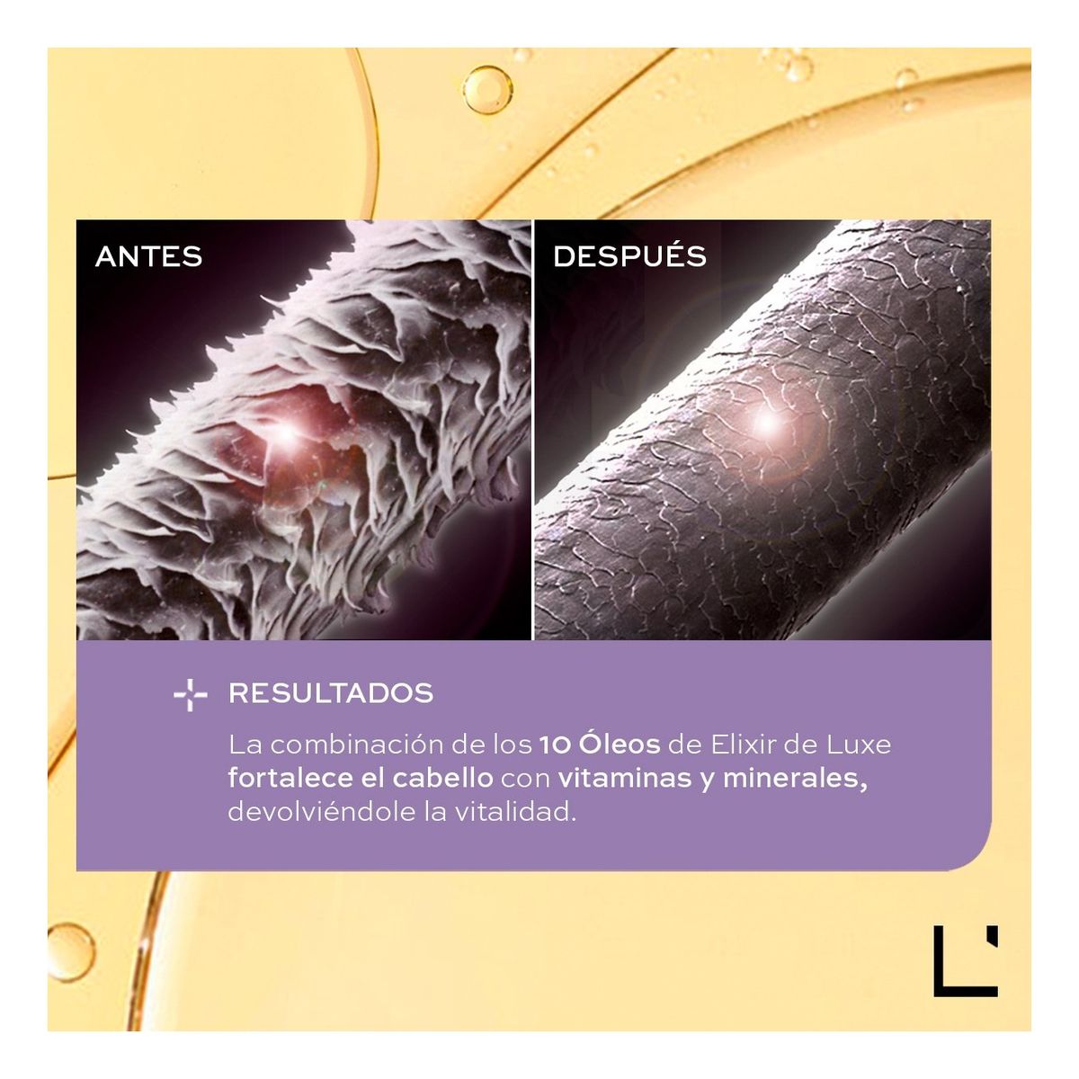 LBEL - Óleos Cabello nutrición brillo anti frizz Ligne Experte L’Bel