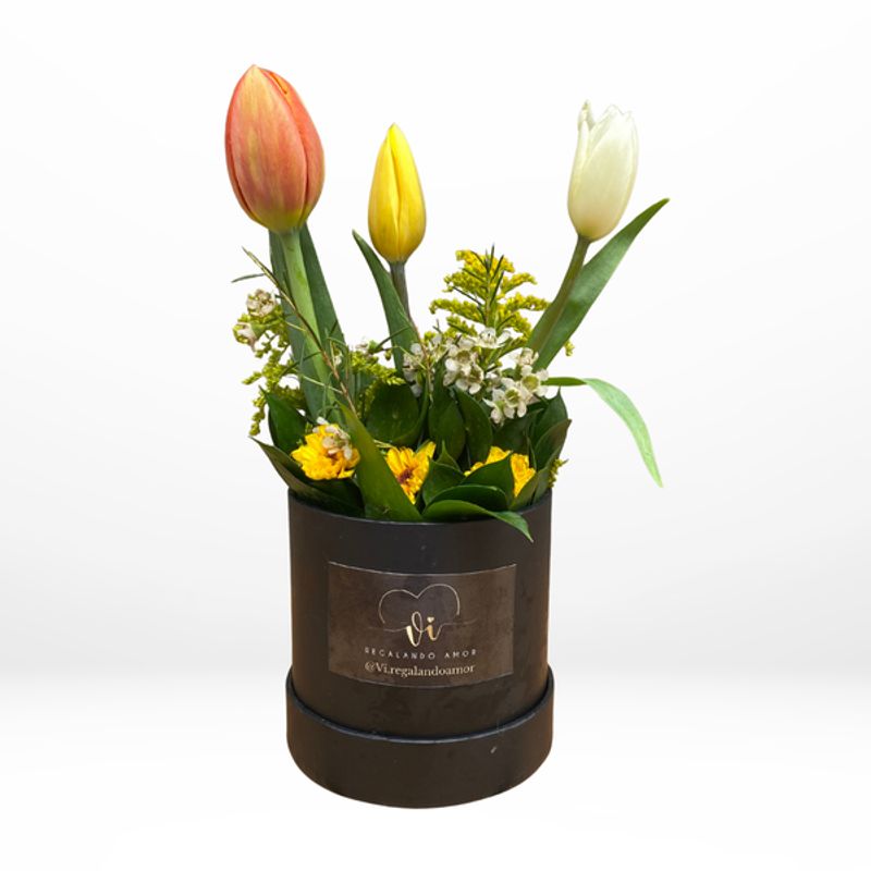 GENERICO - Mini Box Tulipanes Primaverales  Flores amarillas