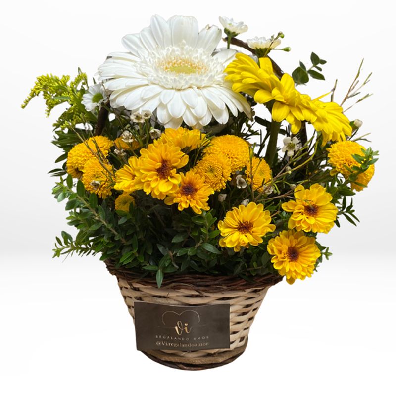 GENERICO - Mini Canasta Isabel  Arreglo floral  - Flores amarillas