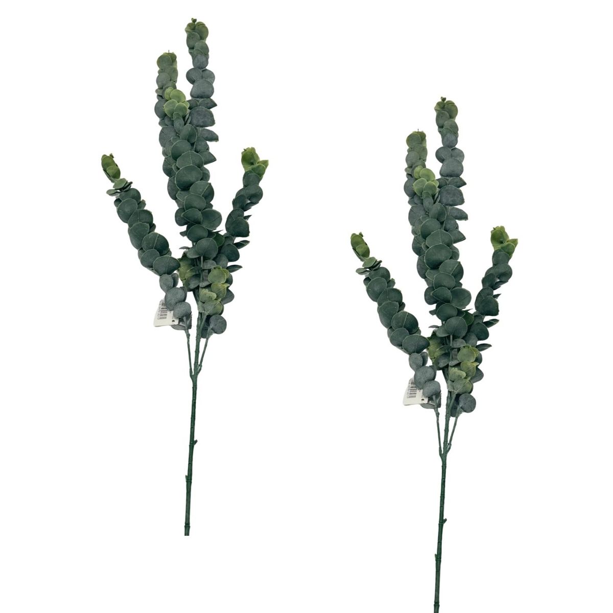 FLORIPA - Set de 2 Varas de Hojas de Eucalipto de 82cm BG230512  FLORIPASTORE