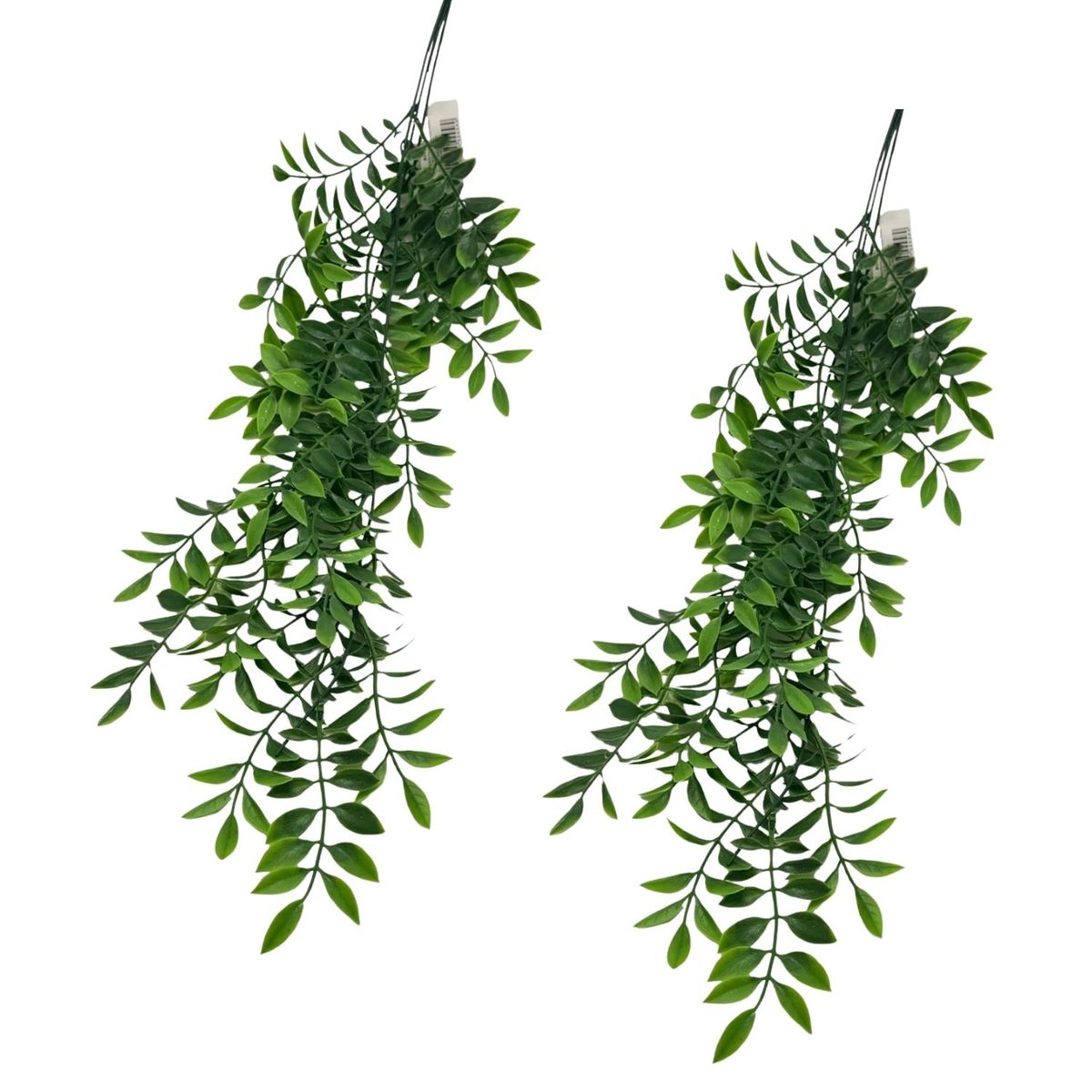 FLORIPA - Set de 2 Colgantes de Hojas de Helecho de 80cm BG420040  FLORIPASTORE