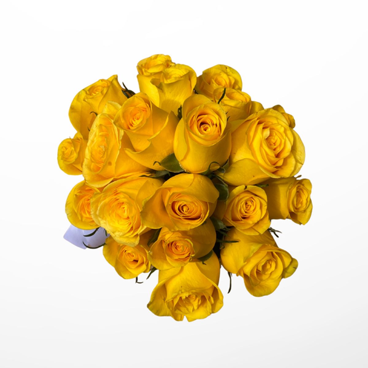 VI REGALANDO AMOR - Caja Clásica  24 Rosas Amarillas - Flores Amarillas -  Arreglo floral