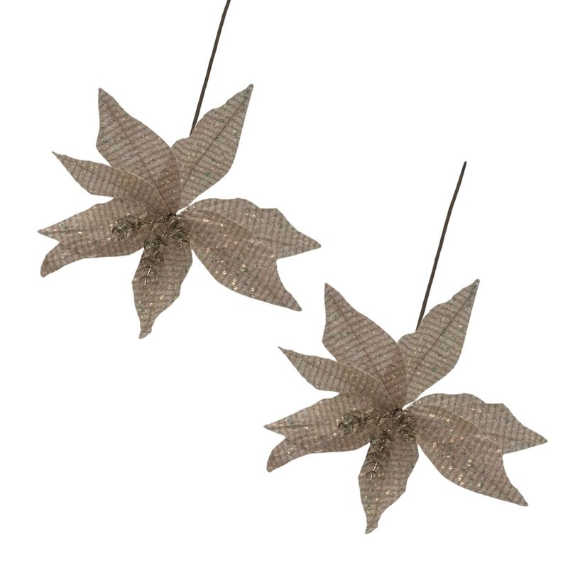 FLORIPA - Set de 2 Flores Navideñas Tipo Cardinal Champán FN168 FLORIPASTORE