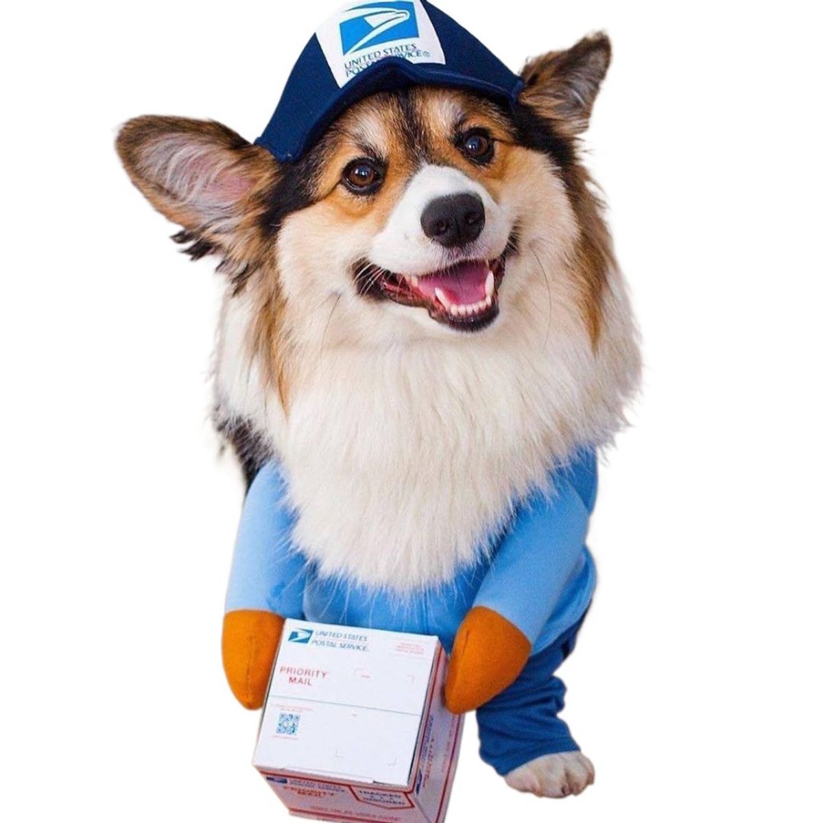 GIOIO - Disfraz para Mascota Halloween - Cartero Mail Man L