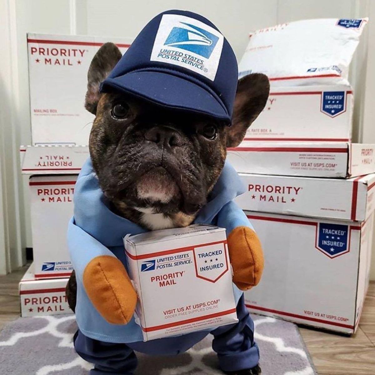 GIOIO - Disfraz para Mascota Halloween - Cartero Mail Man L