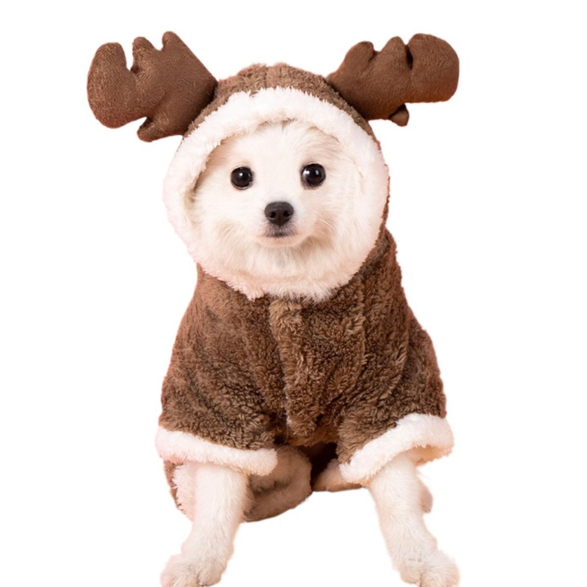 GIOIO - Chaleco Navidad para Perro - Disfraz de Reno XS