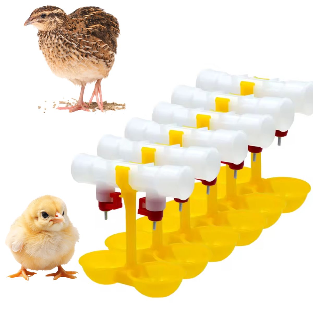 GENERICO - PACK X6 BEBEDERO TIPO NIPLE PARA POLLOS COPA DOBLE