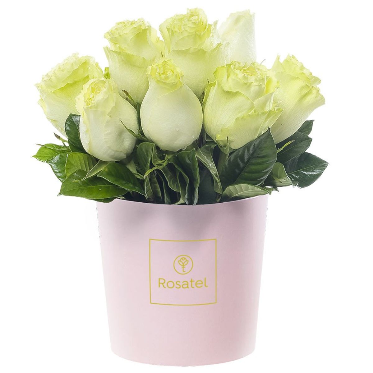 ROSATEL - Sombrerera Rosada Mediana con 10 Rosas