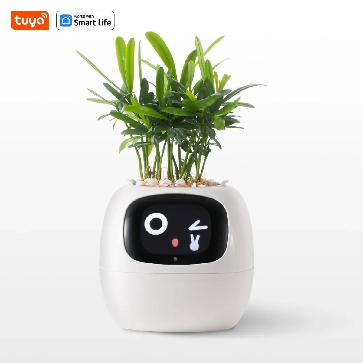 Maceta Inteligente con Monitor de Plantas y App Móvil, marca GENERICO - Foto Principal