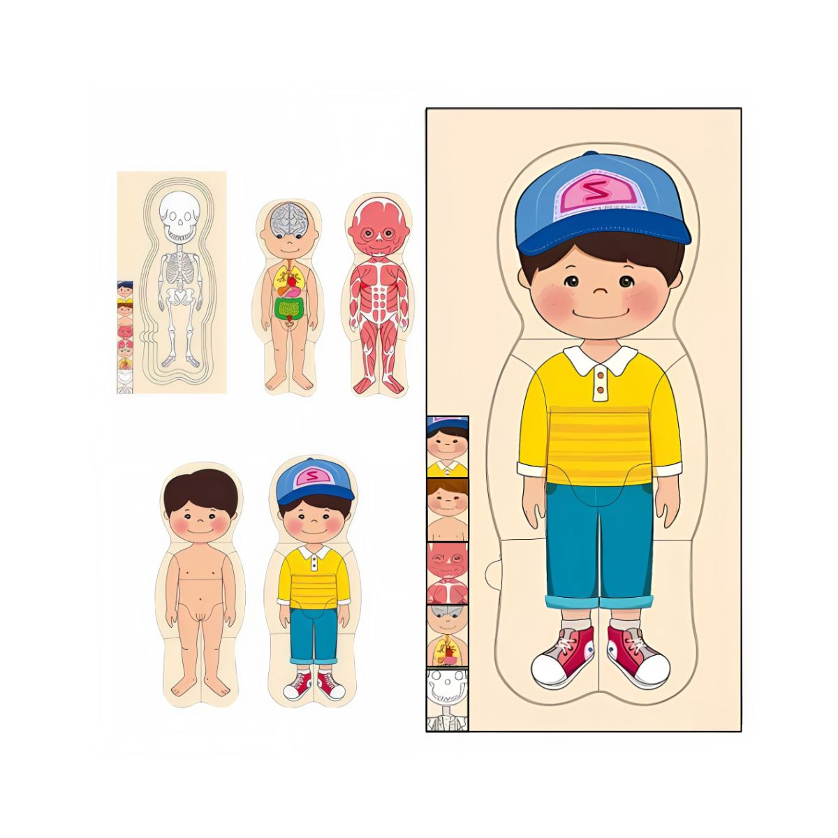 GENERICO - Rompecabezas cuerpo humano niño