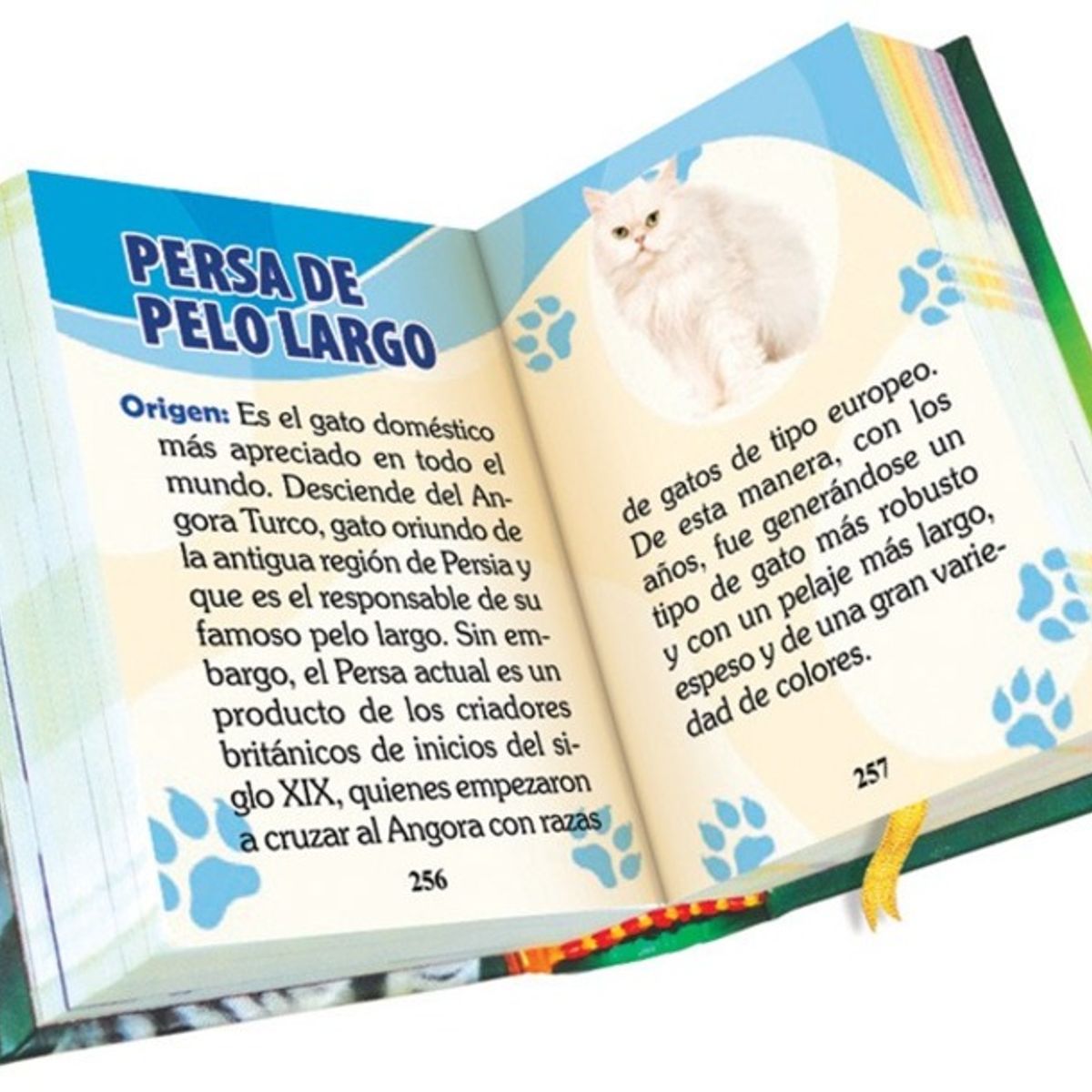 GENERICO - MINI LIBRO TODO SOBRE LOS GATOS MINIBOOKS