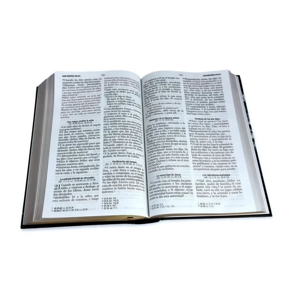 GENERICO - Biblia Reina Valera 1960 Letra Grande León Deluxe Símil Piel Tapa Dura con Liga