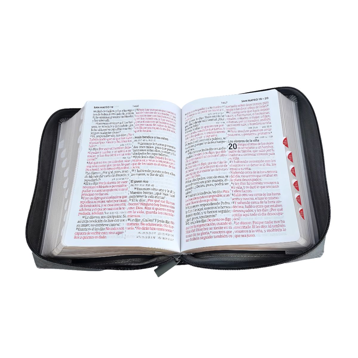 GENERICO - Biblia RVR 1960 Compacta Letra Grande 12 pts Filo Dorado Índice Cierre Tricolor León