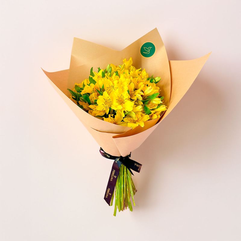 GENERICO - Ramo Astromelias - Florelima Atelier