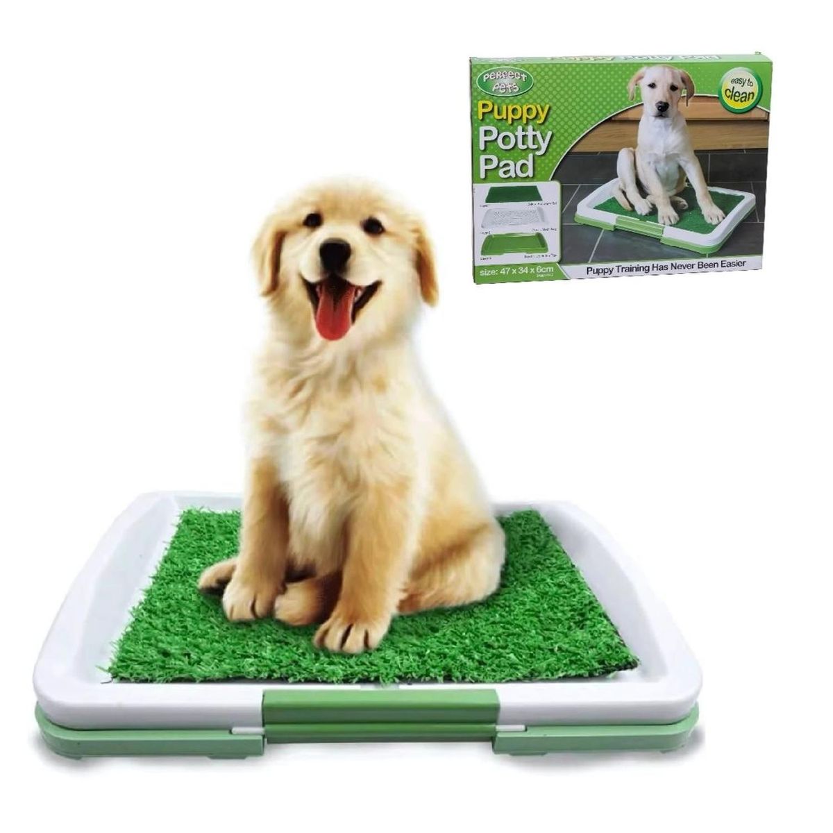 GENERICO - Baño Sanitario para Mascotas Bandeja con Pasto para Perros