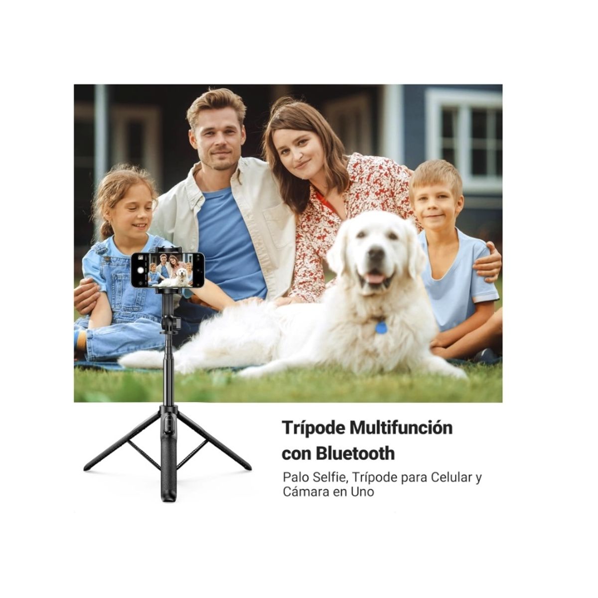 UGREEN - Soporte Trípode 3 en 1 para Celular Cámara Aluminio Ugreen LP586 15062