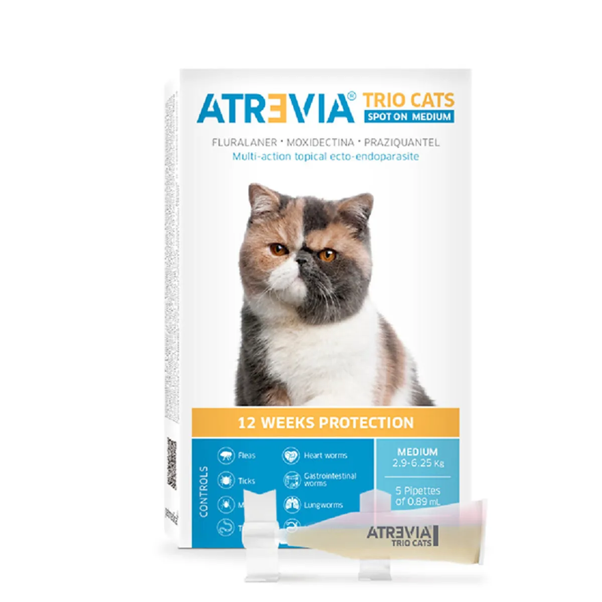 ATREVIA - Atrevia Trio Cats Spot Medium 2.9 – 6.25 kg