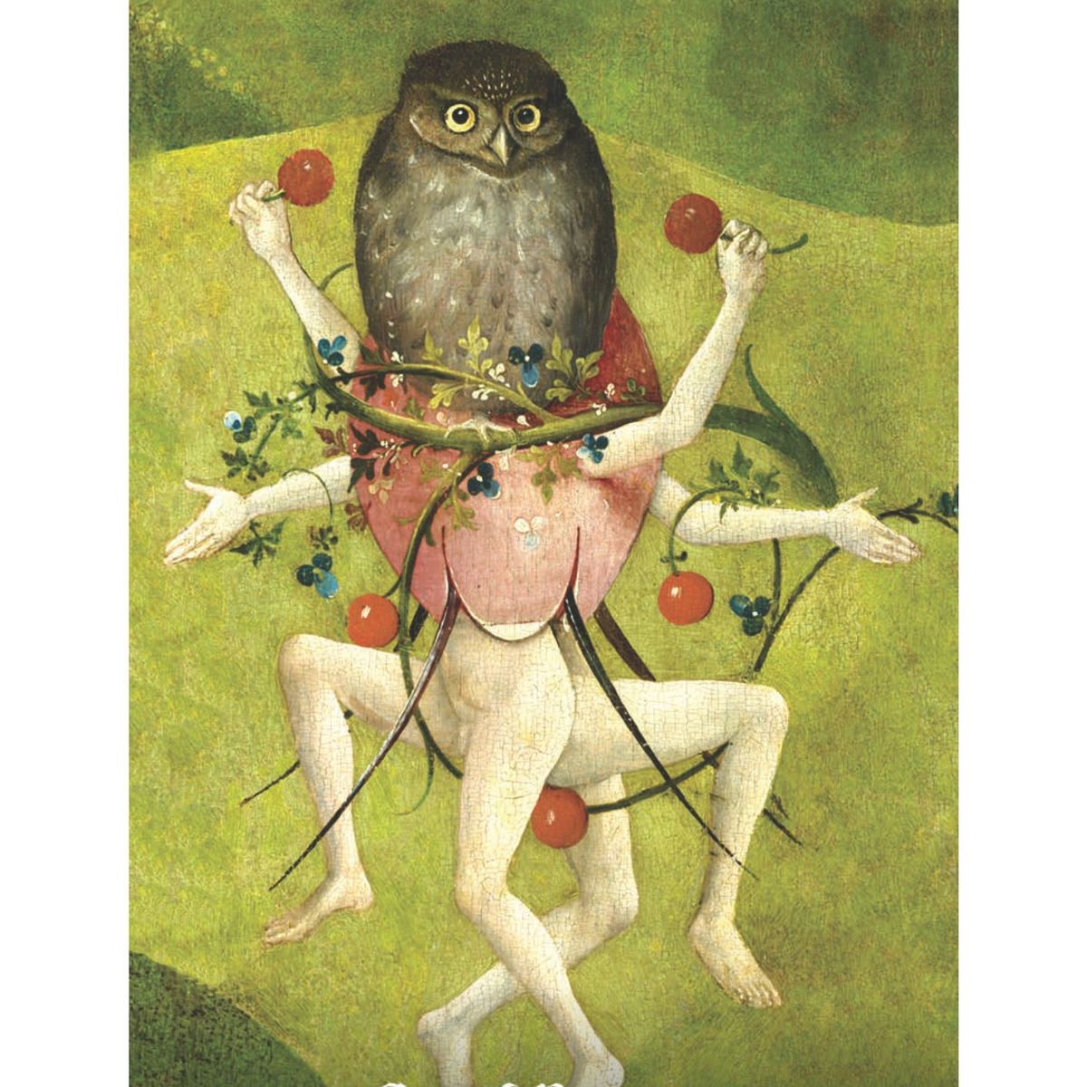 GENERICO - Hieronymus Bosch Tarot Cartas de tarot Barajas Travis McHenry