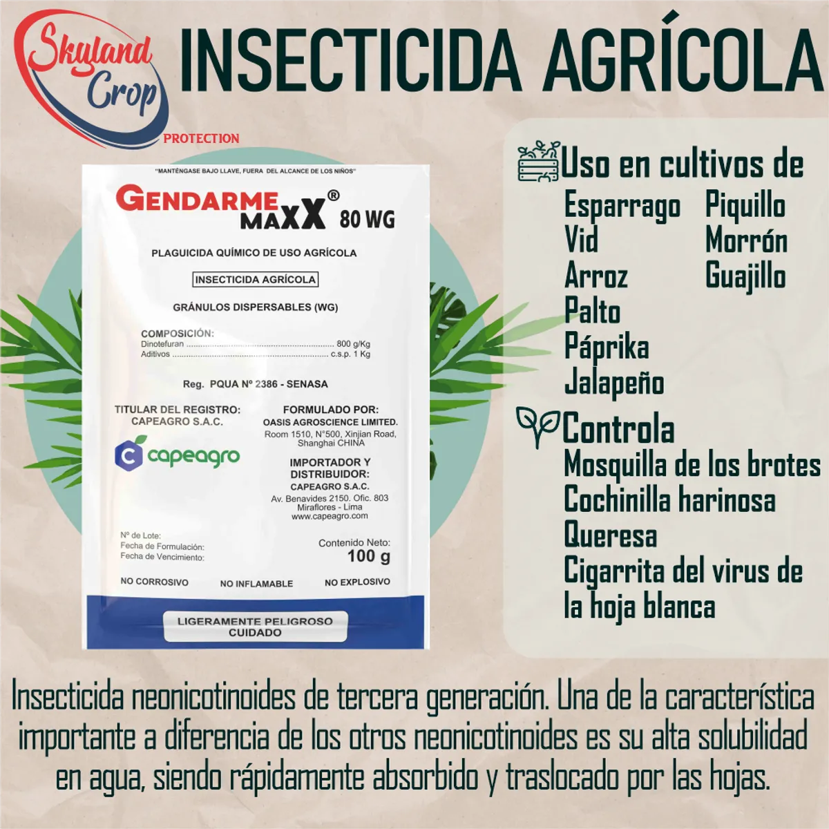 GENDARME MAXX 125gr INSECTICIDA  AGRÍCOLA, marca GENERICO - Foto 2