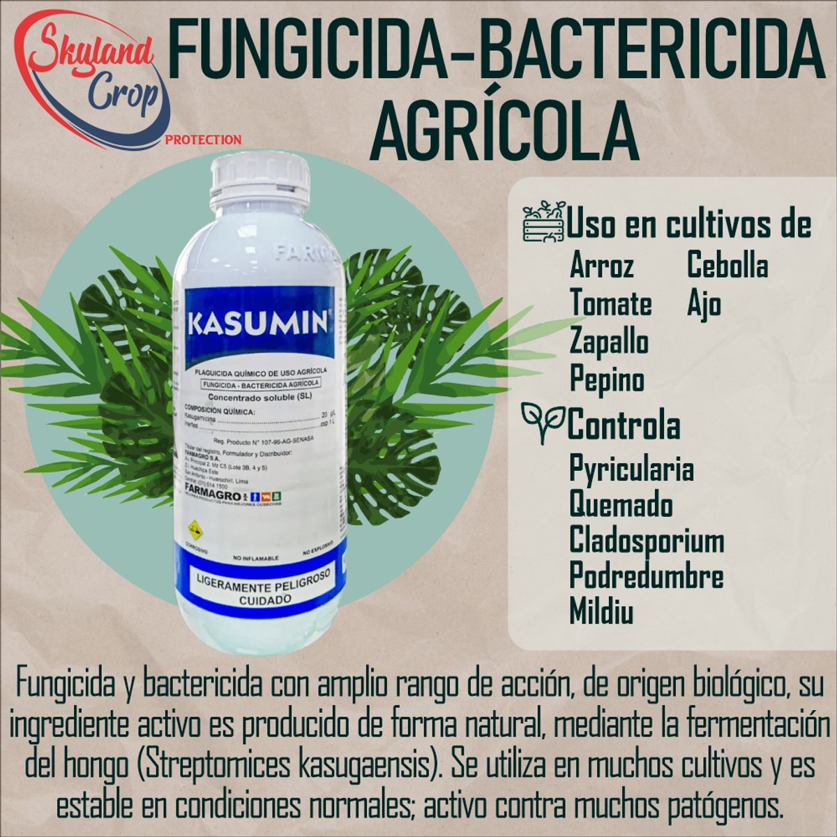 GENERICO - KASUMIN 1L FUNGICIDA BACTERICIDA  AGRÍCOLA