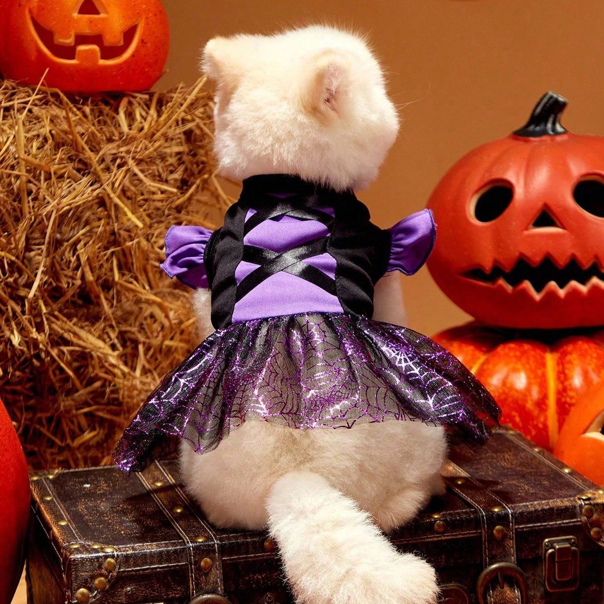 VATYERTY - Disfraz de Perro Halloween - Vestido de Bruja Morado M