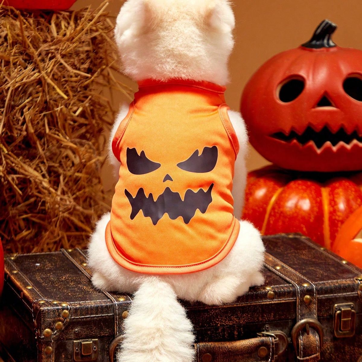 VATYERTY - Disfraz de Perro Halloween - Chaleco Naranjo de Calabaza L