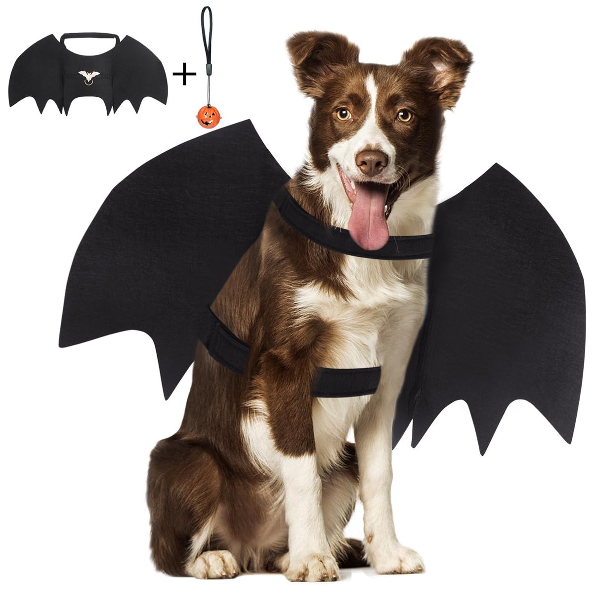 VATYERTY - Disfraz de Perro Halloween - Alas de murciélago L