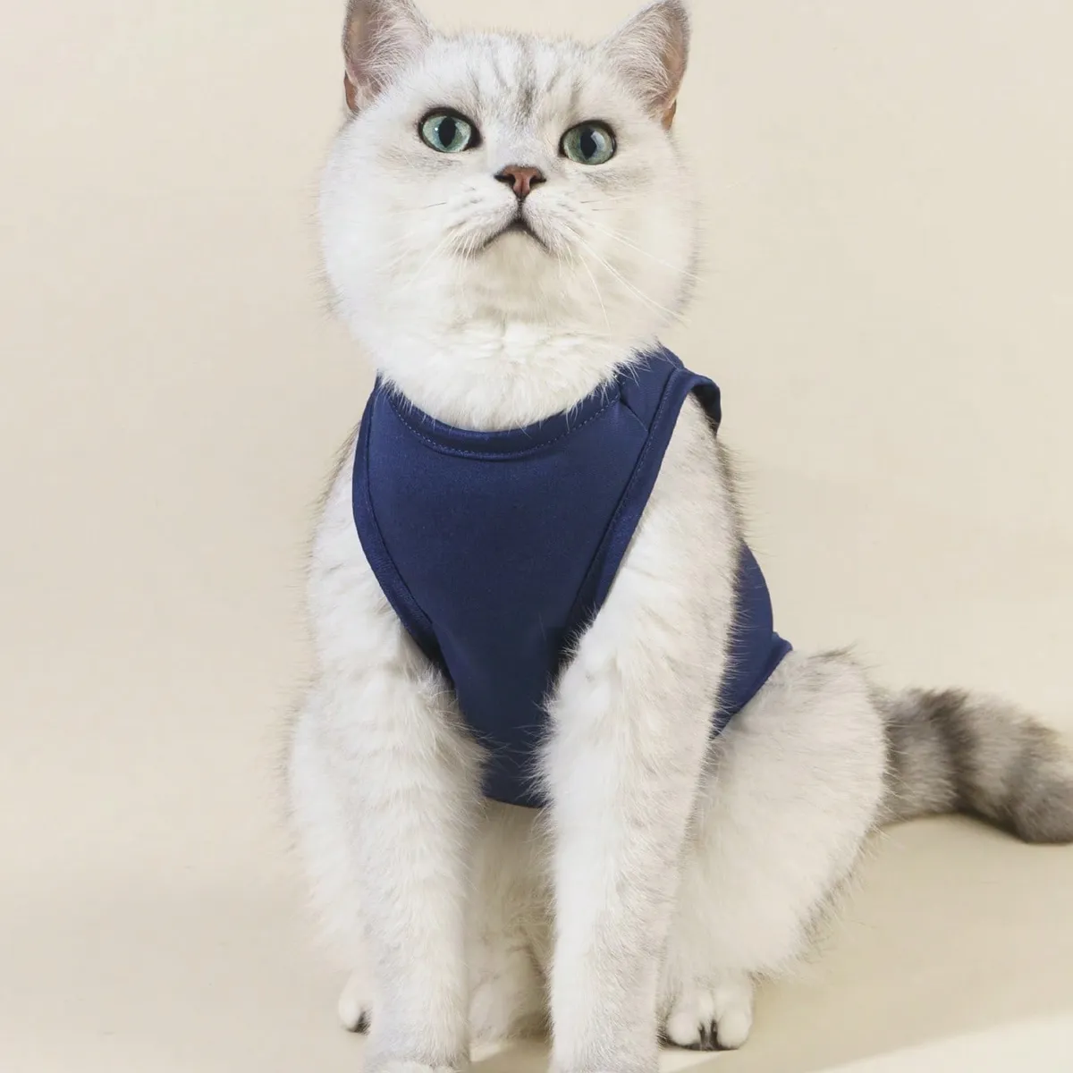 VATYERTY - Chaleco para perro - Estampado - Azul L