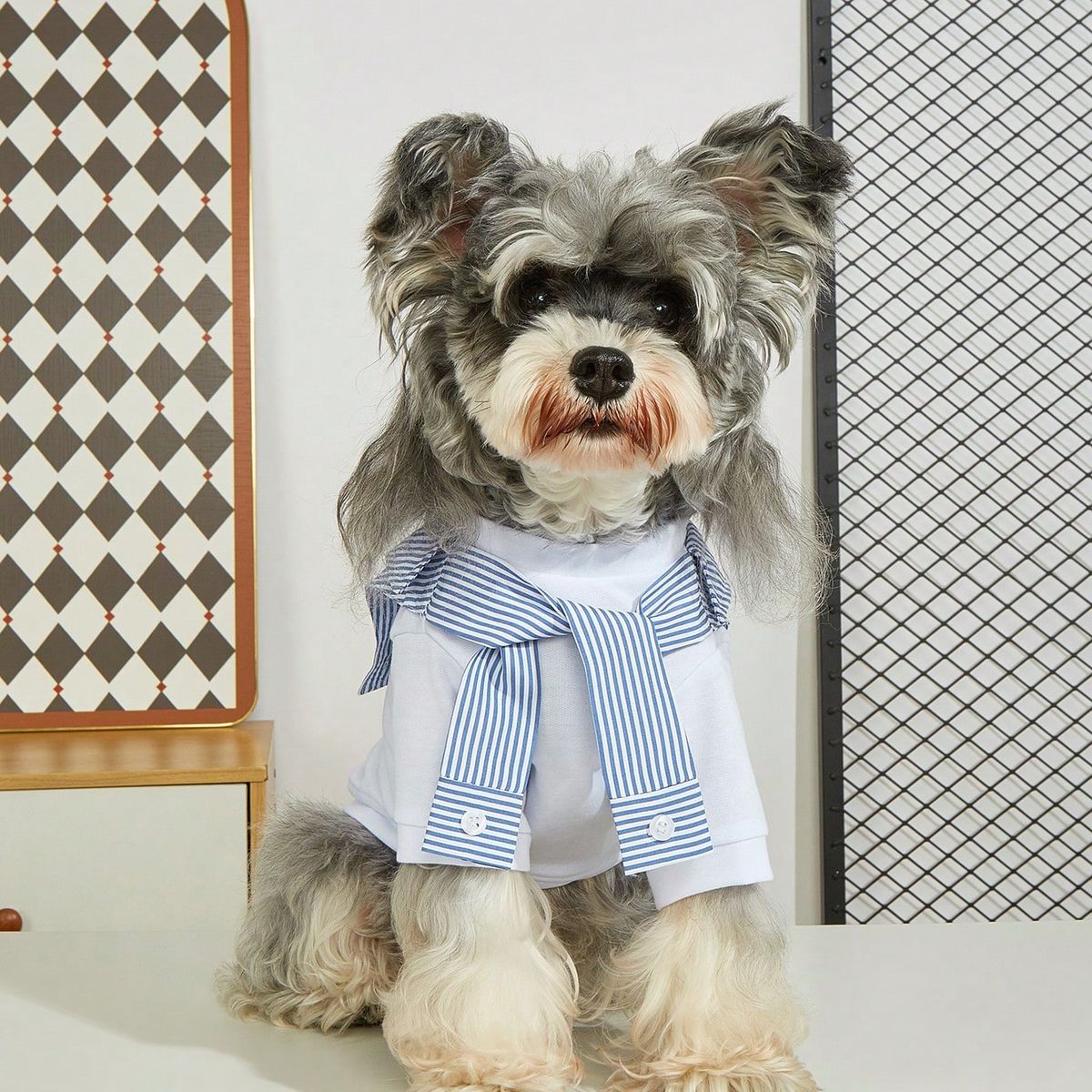 VATYERTY - Disfraz de Perro - Traje de Marinero S