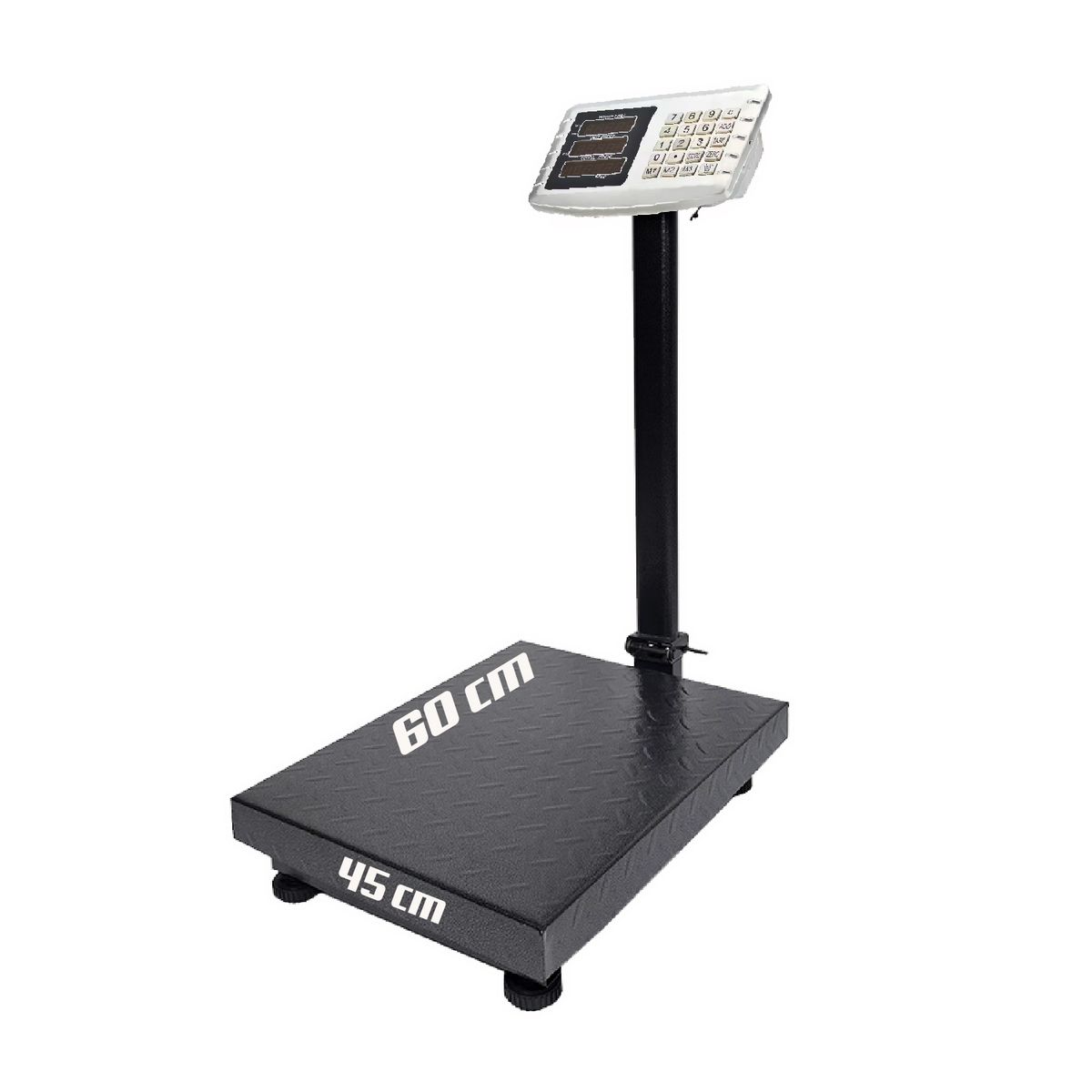 GENERICO - Balanza Industrial 600 Kg con Plataforma HIPOCAMPO HP-600KG