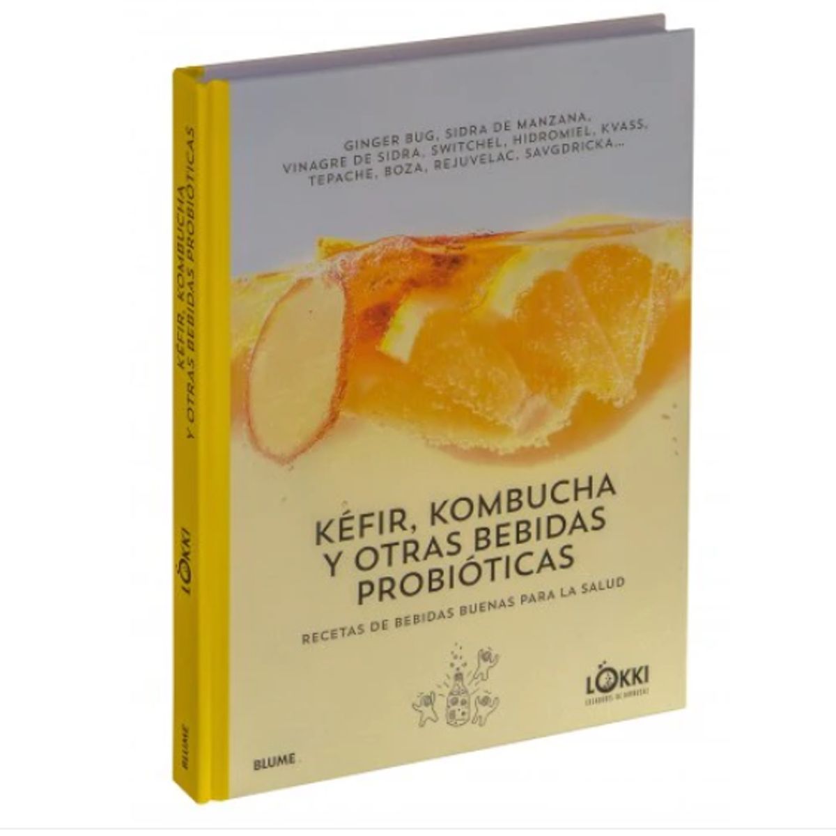 GENERICO - Kéfir kombucha y otras bebidas probióticas